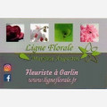 Ligne Florale Marilyse Augustin