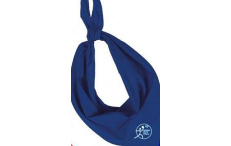 Tous en Bleu et Blanc