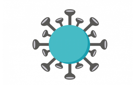 Nouveau Protocole Covid